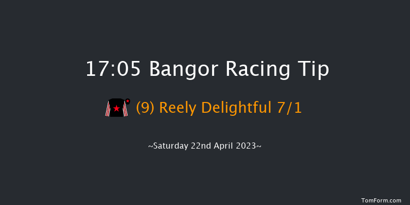 Bangor 17:05 NH Flat Race (Class 4) 17f Sat 25th Mar 2023