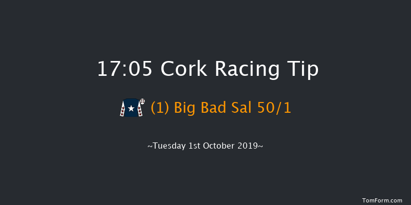 Cork 17:05 Maiden 12f Sun 1st Sep 2019