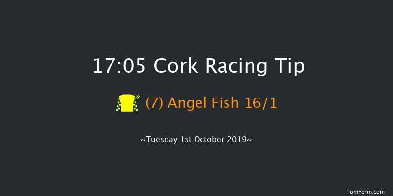 Cork 17:05 Maiden 12f Sun 1st Sep 2019