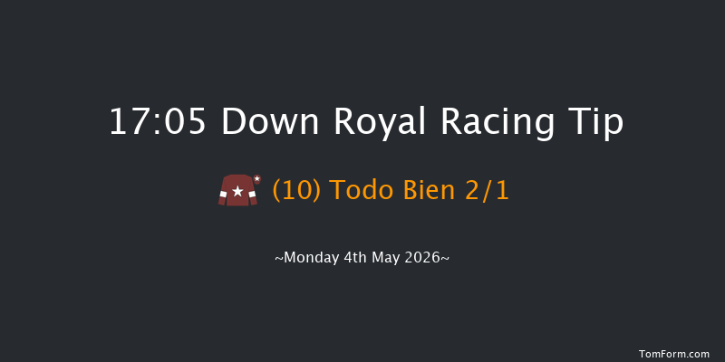 Down Royal 17-05 17f Sun 12th Apr 2026