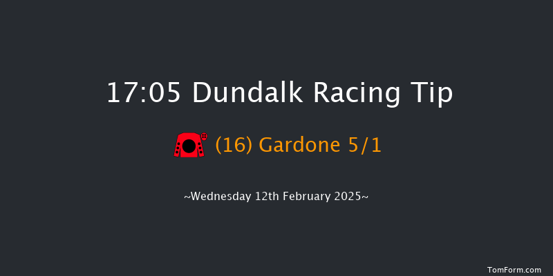 Dundalk  17:05 Handicap 12f Fri 7th Feb 2025