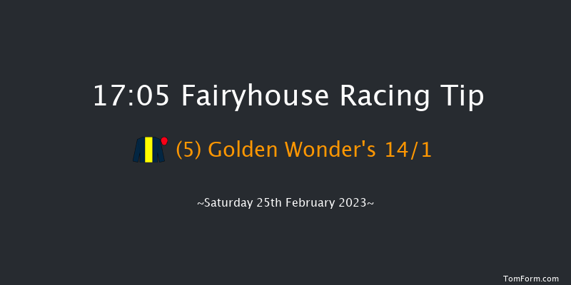 Fairyhouse 17:05 NH Flat Race 16f Wed 8th Feb 2023