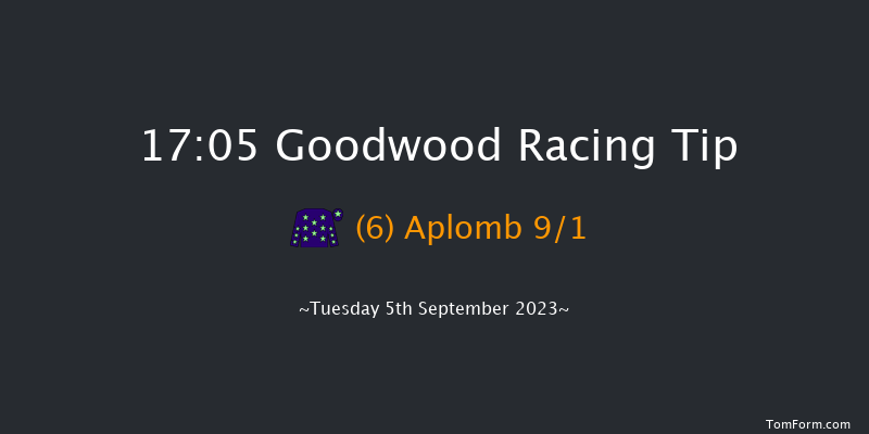 Goodwood 17:05 Handicap (Class 4) 6f Sun 27th Aug 2023