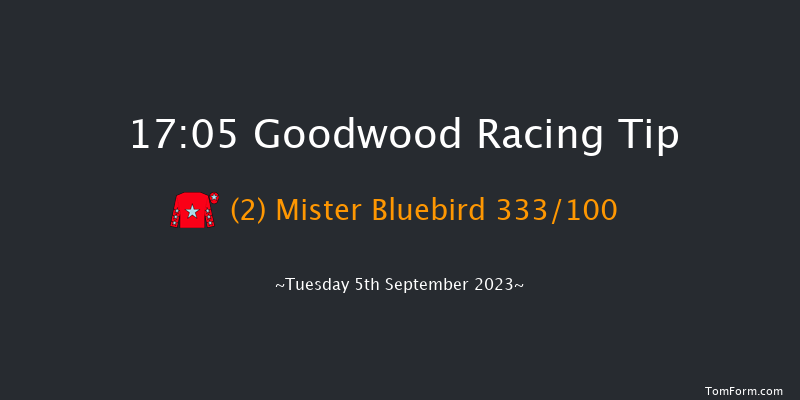 Goodwood 17:05 Handicap (Class 4) 6f Sun 27th Aug 2023
