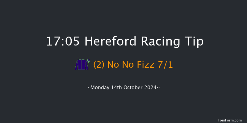 Hereford  17:05 Handicap Hurdle (Class 5) 20f Fri 24th May 2024