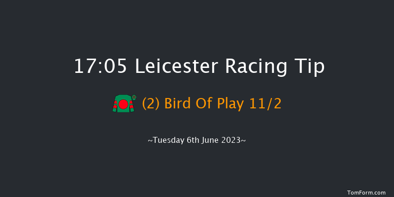 Leicester 17:05 Handicap (Class 5) 7f Tue 30th May 2023