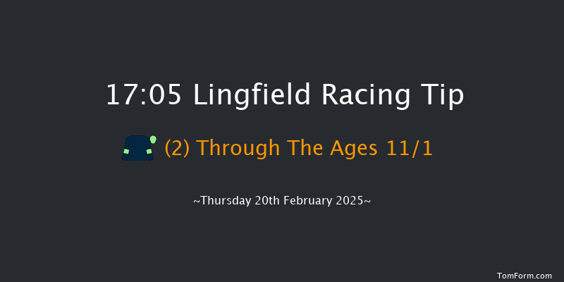Lingfield  17:05 Handicap Hurdle (Class 5) 16f Sun 16th Feb 2025