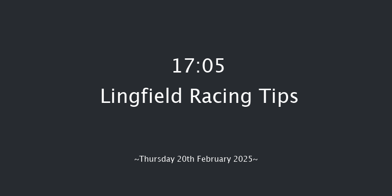 Lingfield  17:05 Handicap Hurdle (Class 5) 16f Sun 16th Feb 2025