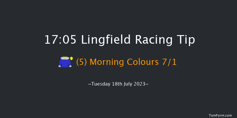 Lingfield 17:05 Handicap (Class 6) 6f Wed 12th Jul 2023