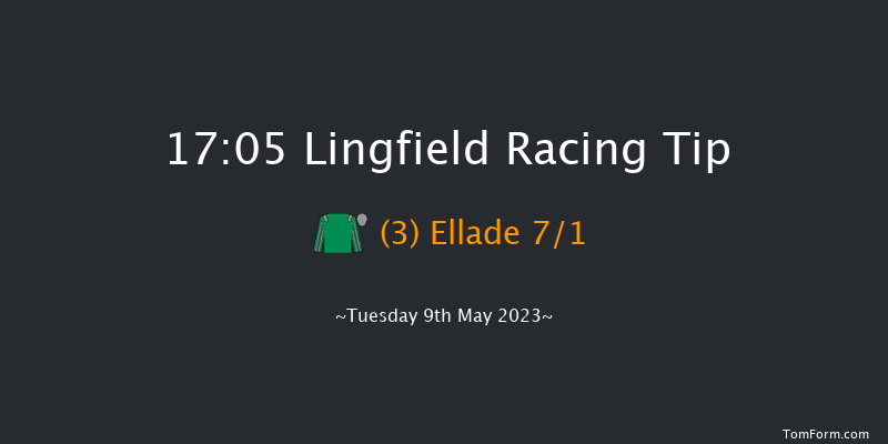 Lingfield 17:05 Handicap (Class 5) 8f Thu 4th May 2023