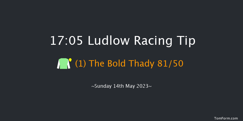 Ludlow 17:05 Handicap Hurdle (Class 5) 24f Tue 9th May 2023