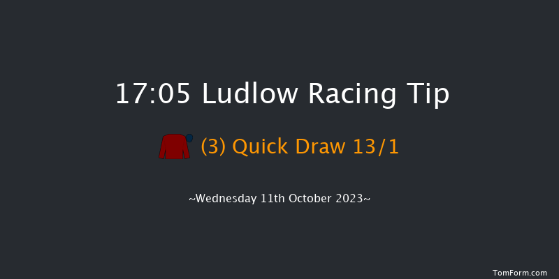 Ludlow 17:05 Handicap Chase (Class 3) 24f Sun 14th May 2023