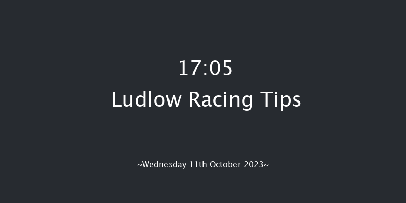 Ludlow 17:05 Handicap Chase (Class 3) 24f Sun 14th May 2023