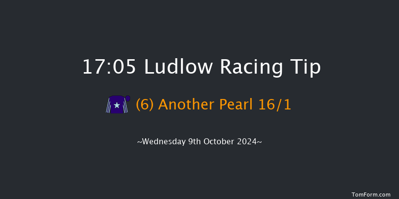 Ludlow  17:05 NH Flat Race (Class 4) 16f Sun 12th May 2024