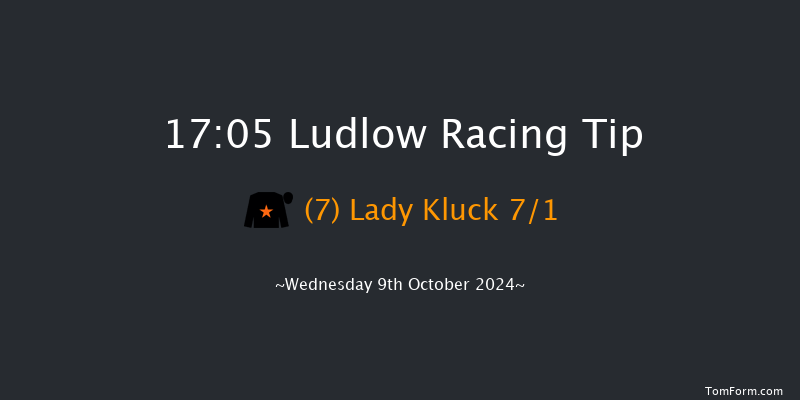Ludlow  17:05 NH Flat Race (Class 4) 16f Sun 12th May 2024