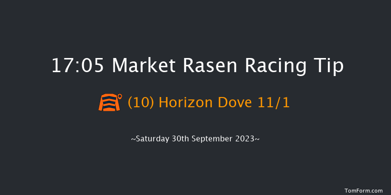 Market Rasen 17:05 Handicap Hurdle (Class 5) 19f Sat 19th Aug 2023