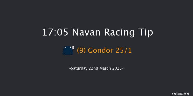 Navan  17:05 Handicap Chase 17f Sat 1st Mar 2025
