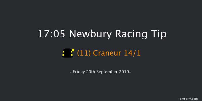 Newbury 17:05 Handicap (Class 4) 10f Sat 17th Aug 2019