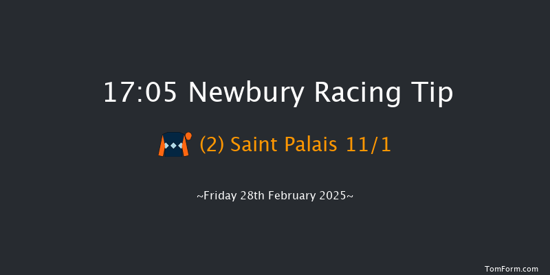Newbury  17:05 Handicap Hurdle (Class 3) 24f Sat 8th Feb 2025