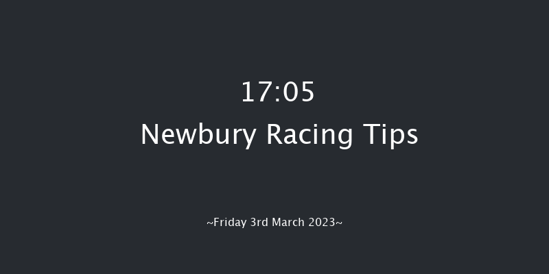 Newbury 17:05 Handicap Hurdle (Class 4) 19f Sun 19th Feb 2023