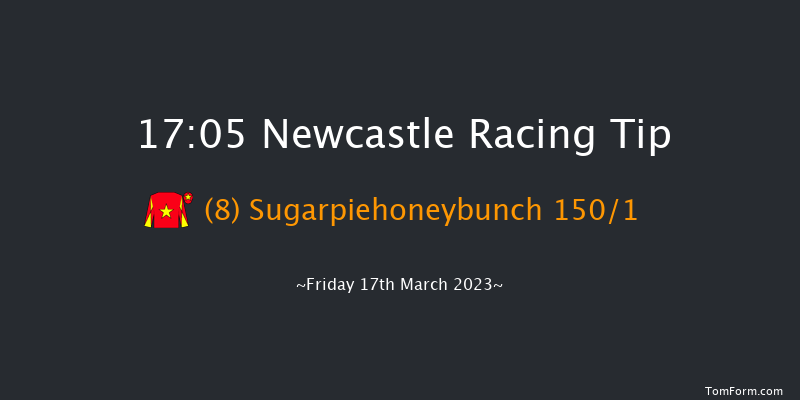 Newcastle 17:05 Handicap (Class 6) 16f Wed 15th Mar 2023