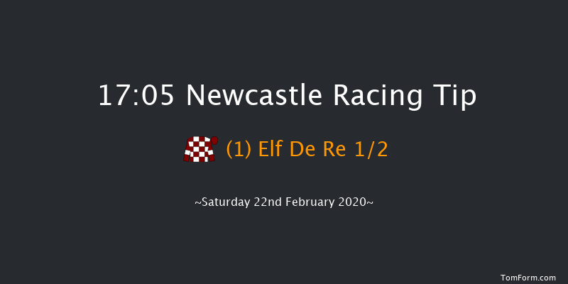 Break From The Herd With Vertem Novices' Hurdle Newcastle 17:05 Maiden Hurdle (Class 3) 20f Wed 19th Feb 2020