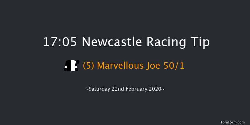 Break From The Herd With Vertem Novices' Hurdle Newcastle 17:05 Maiden Hurdle (Class 3) 20f Wed 19th Feb 2020