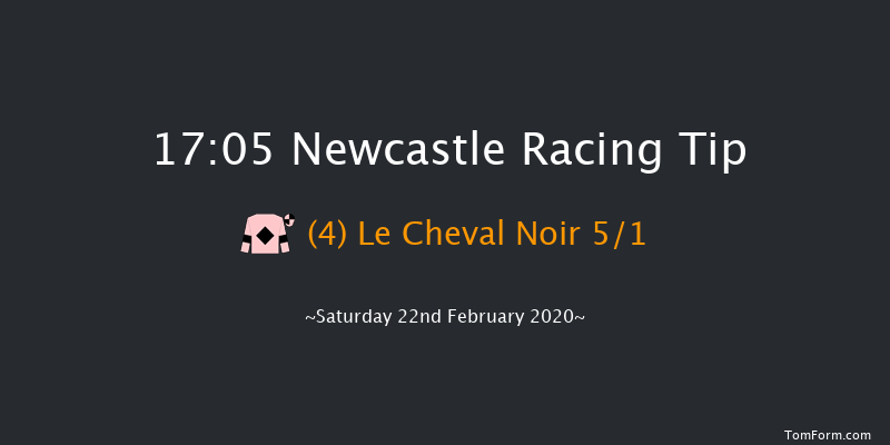 Break From The Herd With Vertem Novices' Hurdle Newcastle 17:05 Maiden Hurdle (Class 3) 20f Wed 19th Feb 2020