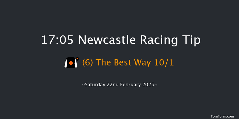 Newcastle  17:05 Handicap Hurdle (Class 5) 17f Thu 20th Feb 2025