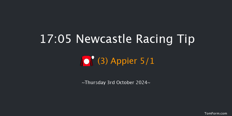 Newcastle  17:05 Handicap (Class 4) 12f Tue 1st Oct 2024