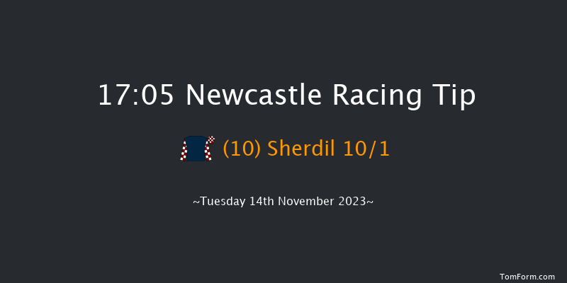 Newcastle 17:05 Handicap (Class 6) 5f Sat 11th Nov 2023