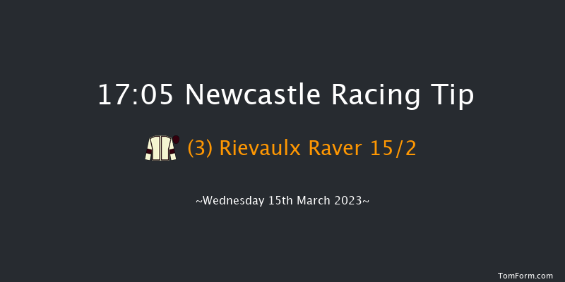 Newcastle 17:05 Handicap (Class 5) 10f Tue 14th Mar 2023