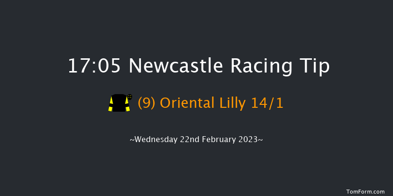 Newcastle 17:05 Stakes (Class 6) 7f Mon 20th Feb 2023