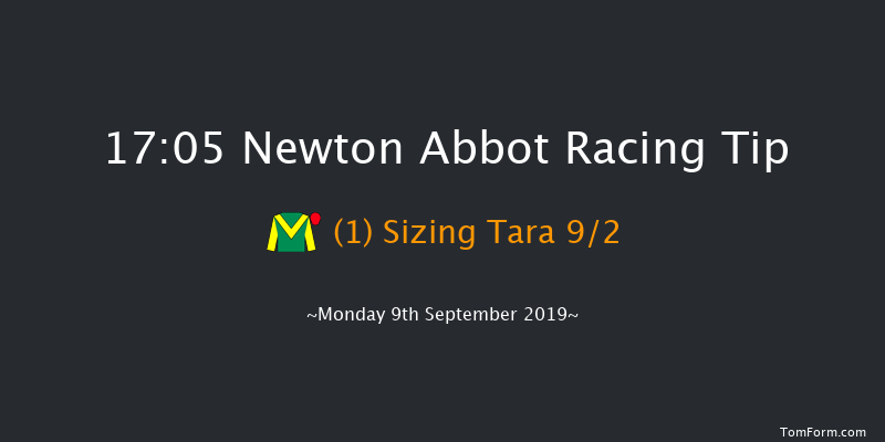 Newton Abbot 17:05 Handicap Hurdle (Class 5) 17f Sat 31st Aug 2019