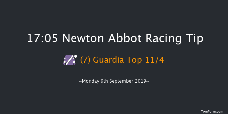 Newton Abbot 17:05 Handicap Hurdle (Class 5) 17f Sat 31st Aug 2019