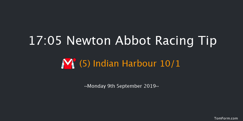 Newton Abbot 17:05 Handicap Hurdle (Class 5) 17f Sat 31st Aug 2019