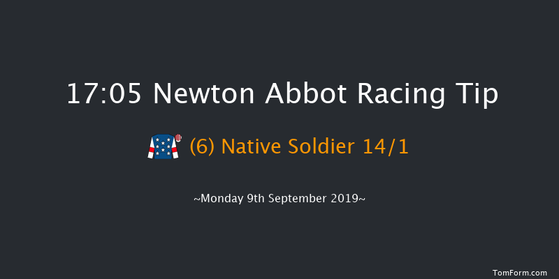 Newton Abbot 17:05 Handicap Hurdle (Class 5) 17f Sat 31st Aug 2019