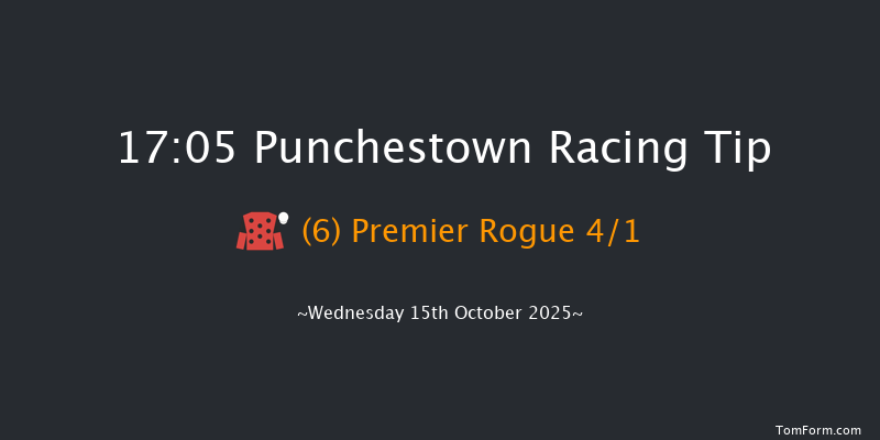 Punchestown 17-05 16f Tue 14th Oct 2025