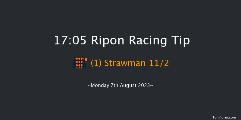 Ripon 17:05 Handicap (Class 4) 10f Sat 22nd Jul 2023