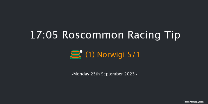Roscommon 17:05 Handicap Chase 21f Mon 4th Sep 2023