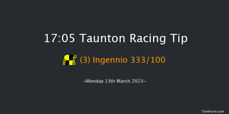 Taunton 17:05 Handicap Hurdle (Class 5) 19f Thu 2nd Mar 2023