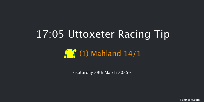 Uttoxeter 17-05 (Class 4) 23f Sat 15th Mar 2025