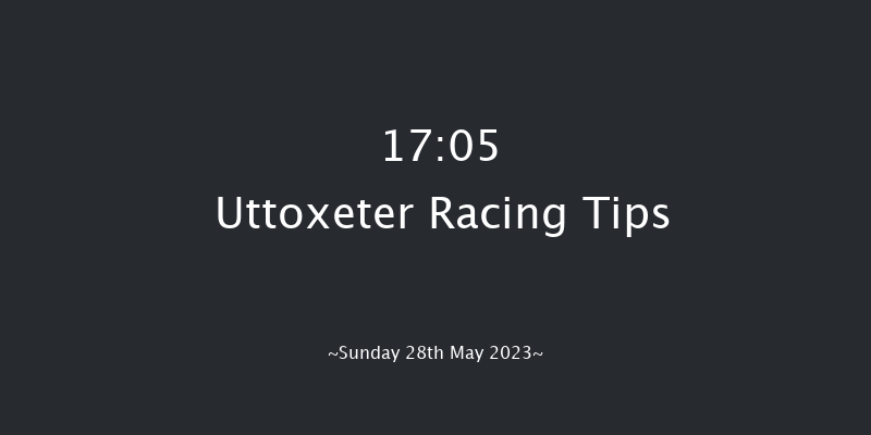 Uttoxeter 17:05 Handicap Hurdle (Class 5) 23f Sat 20th May 2023