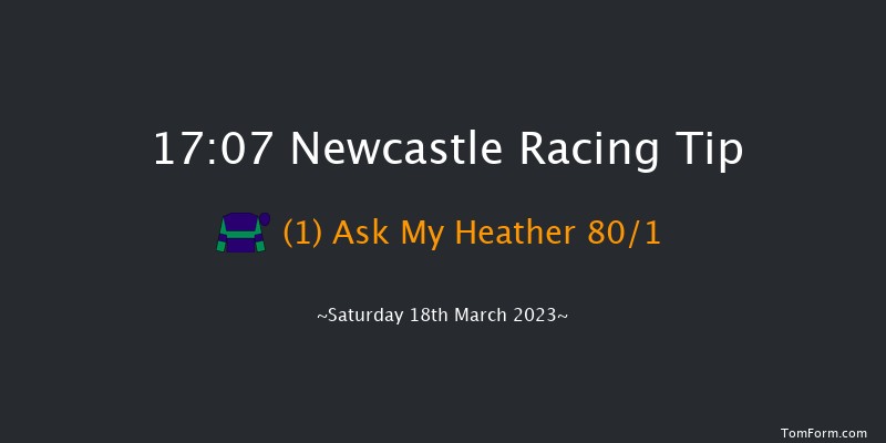 Newcastle 17:07 NH Flat Race (Class 5) 16f Fri 17th Mar 2023
