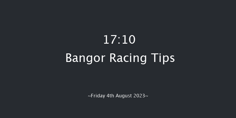 Bangor 17:10 Handicap Hurdle (Class 5) 17f Sat 10th Jun 2023
