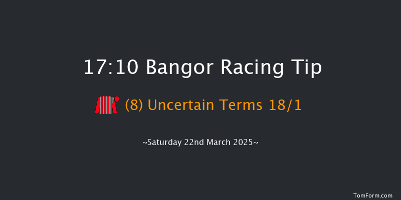 Bangor-on-dee  17:10 Handicap Hurdle (Class 5) 23f Wed 26th Feb 2025