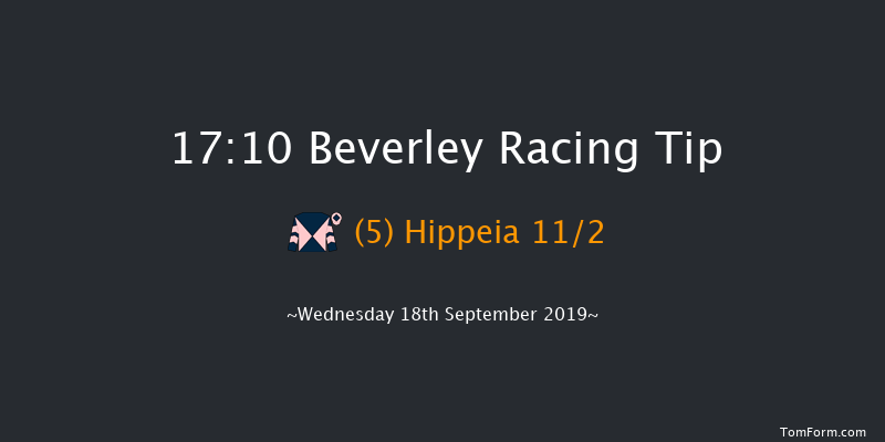 Beverley 17:10 Stakes (Class 6) 8f Sat 31st Aug 2019