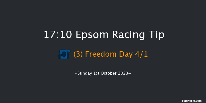 Epsom 17:10 Handicap (Class 4) 8f Thu 14th Sep 2023