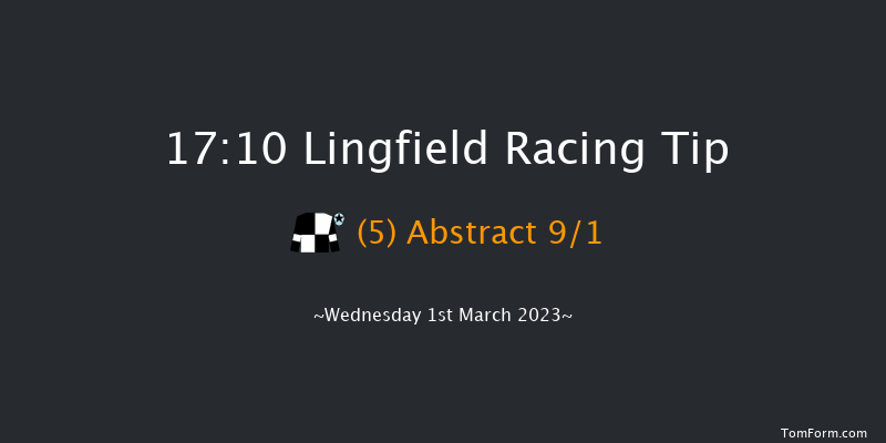 Lingfield 17:10 Handicap (Class 6) 16f Sat 25th Feb 2023