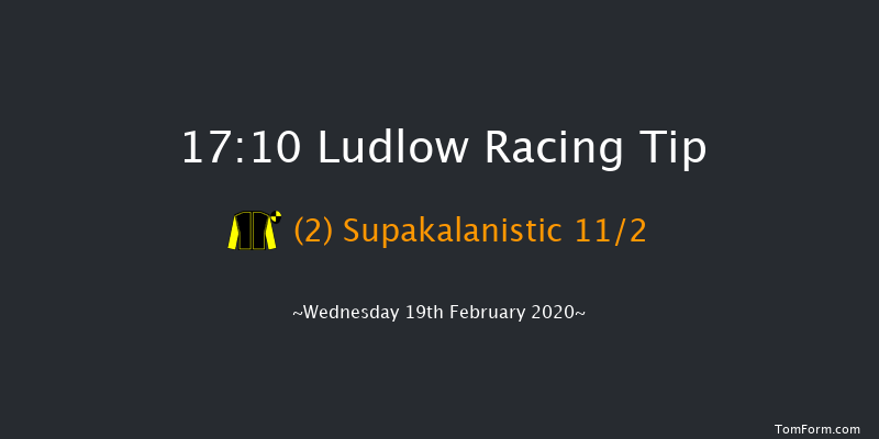 Ludlow Racecourse Bookmakers Handicap Hurdle Ludlow 17:10 Handicap Hurdle (Class 4) 21f Wed 5th Feb 2020